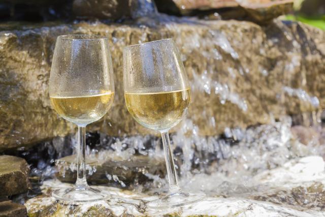 Otvorena prva fontana vina na svetu
